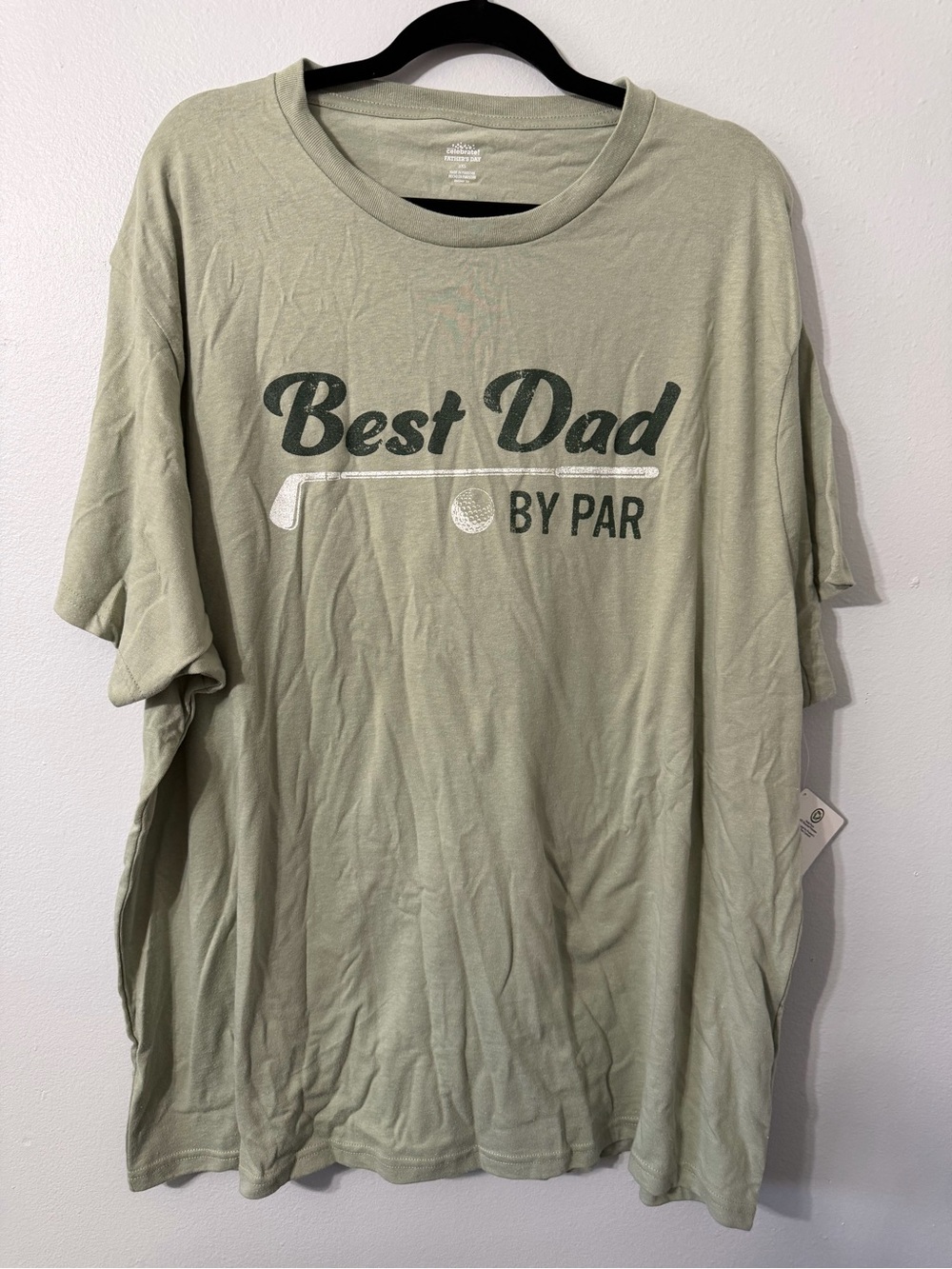 Best Dad By Par Graphic Tee - Sage Green size 3X